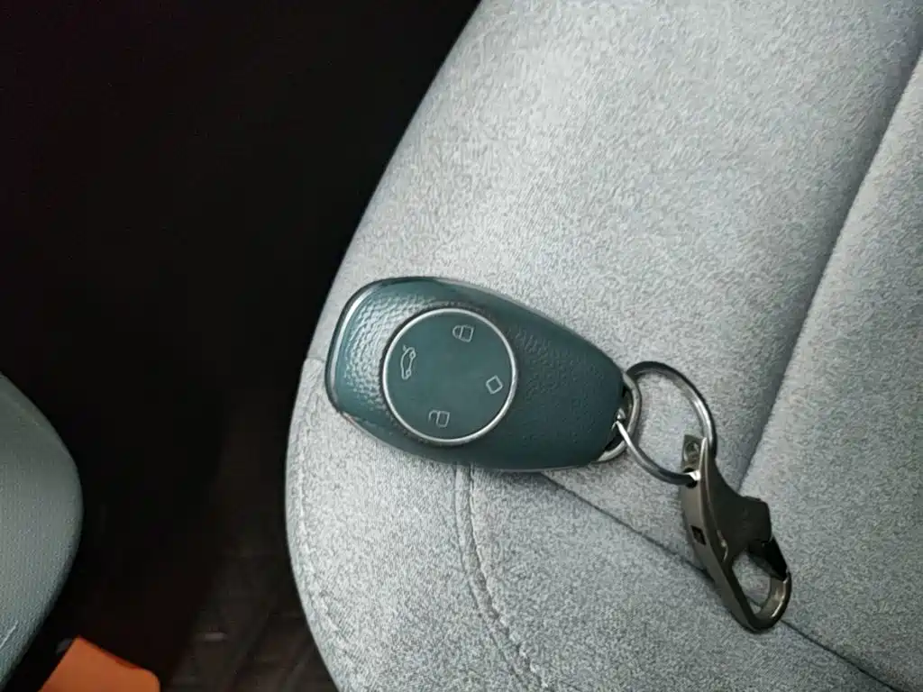 Leapmotor T03 2023 310