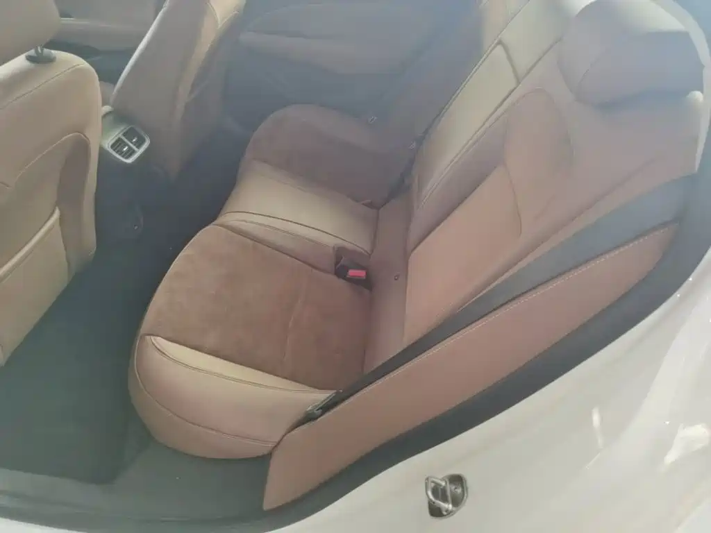 Buick Regal — миниатюра 17
