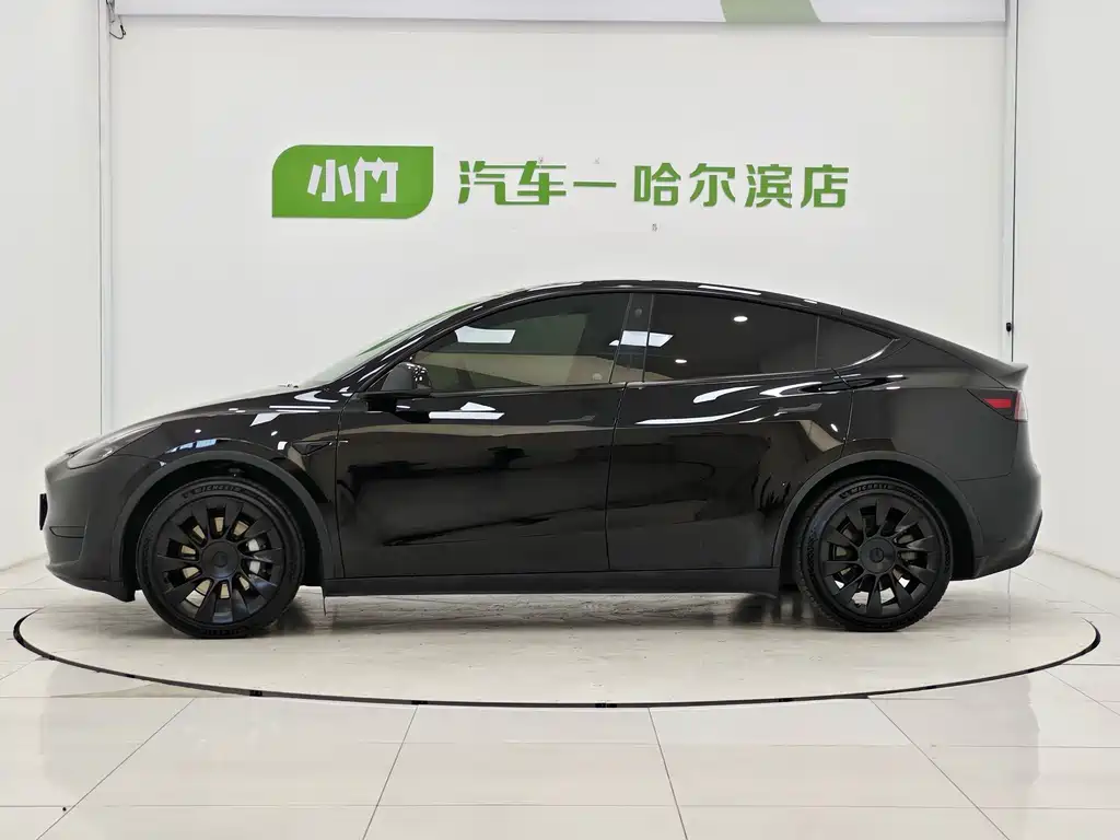 Tesla Model Y — миниатюра 4