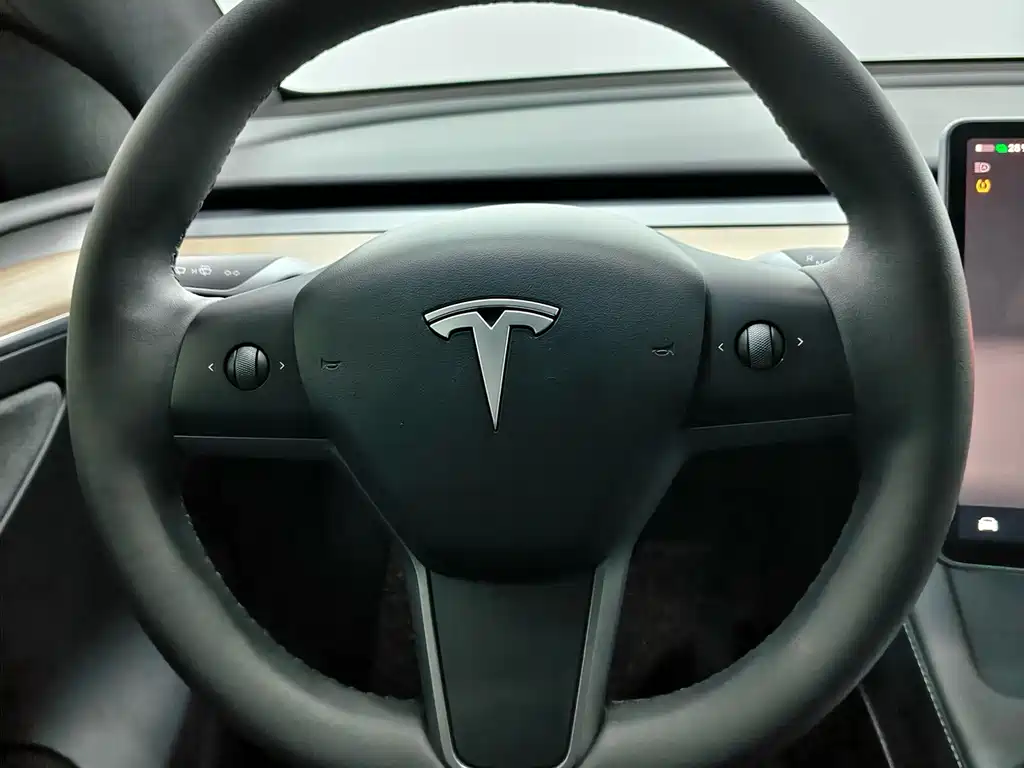 Tesla Model Y — миниатюра 12