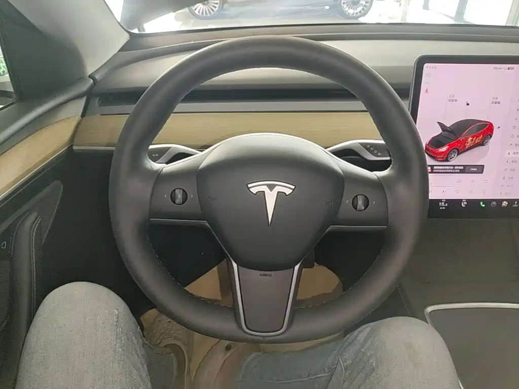 Tesla Model Y — миниатюра 11