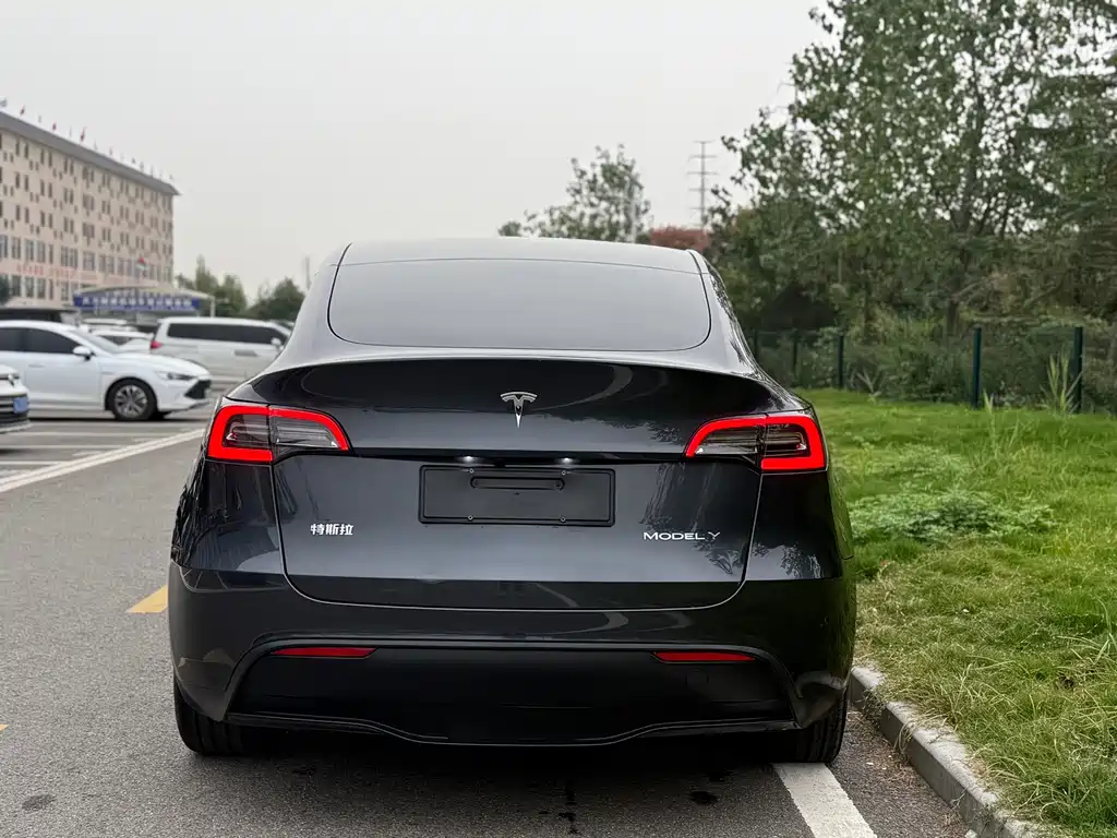 Tesla Model Y — миниатюра 5