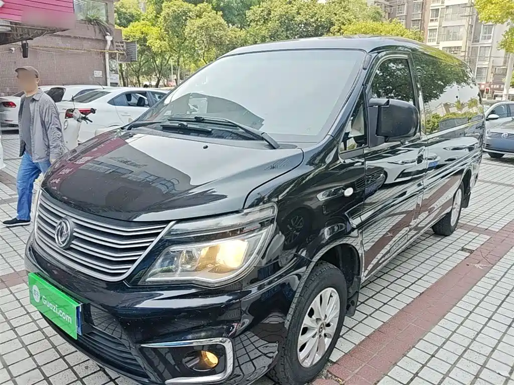 Fengxing Lingzhi 2018
