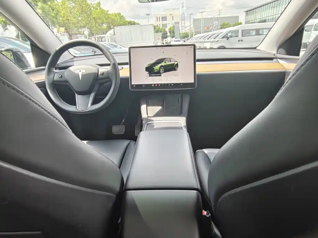 Tesla Model Y — миниатюра 10
