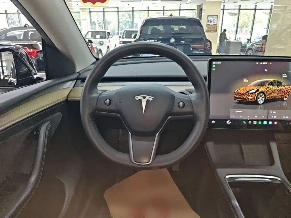 Tesla Model Y — миниатюра 11