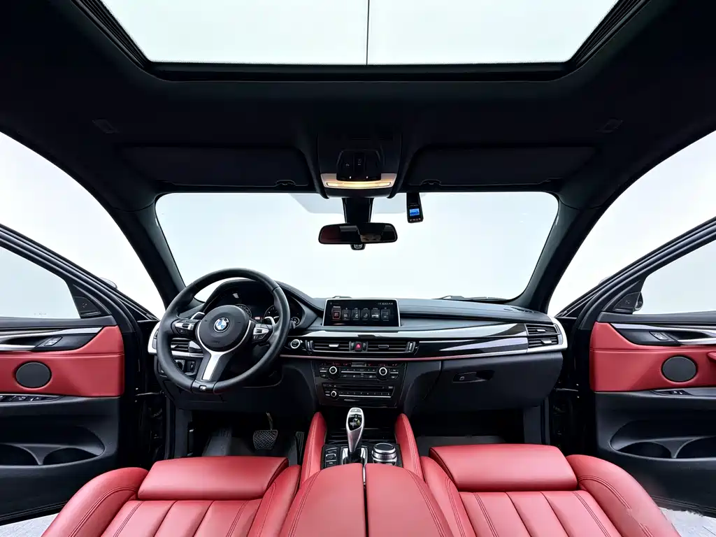 BMW X6 — миниатюра 16