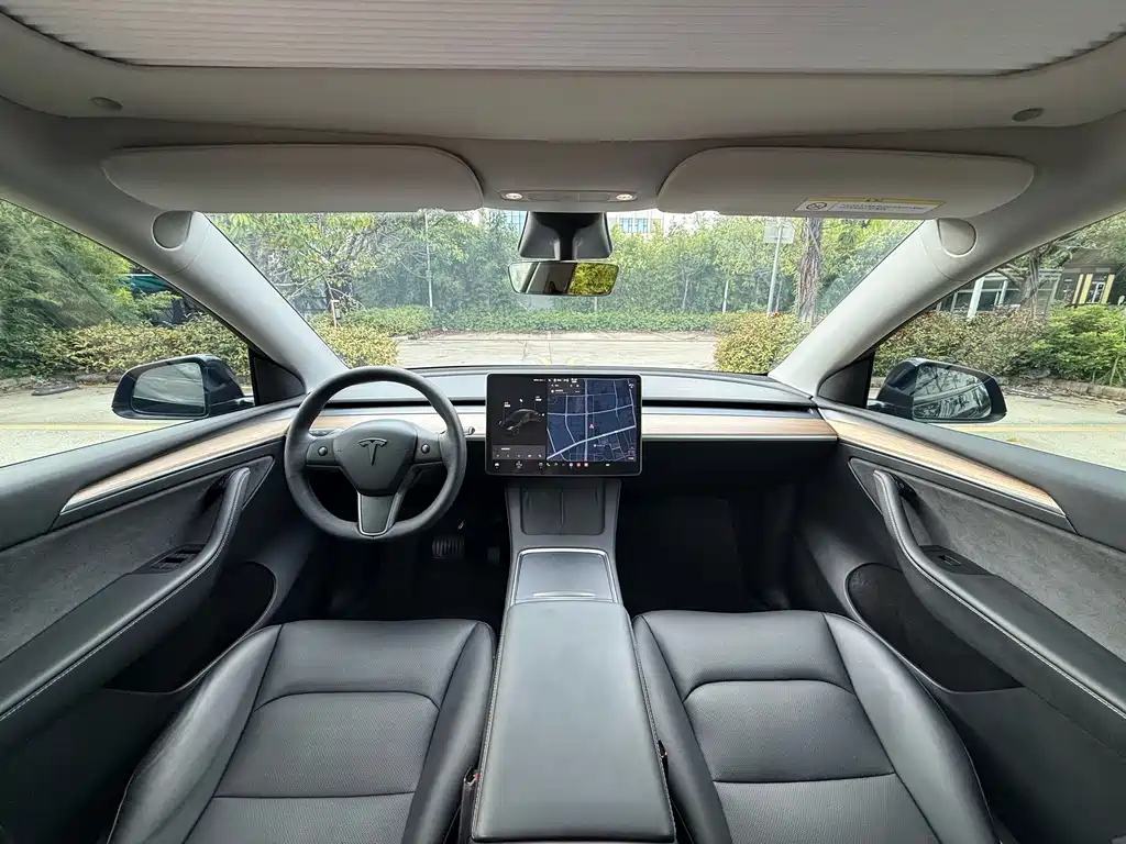 Tesla Model Y — миниатюра 7
