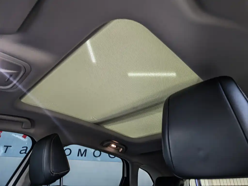 Haval Chitu — миниатюра 10