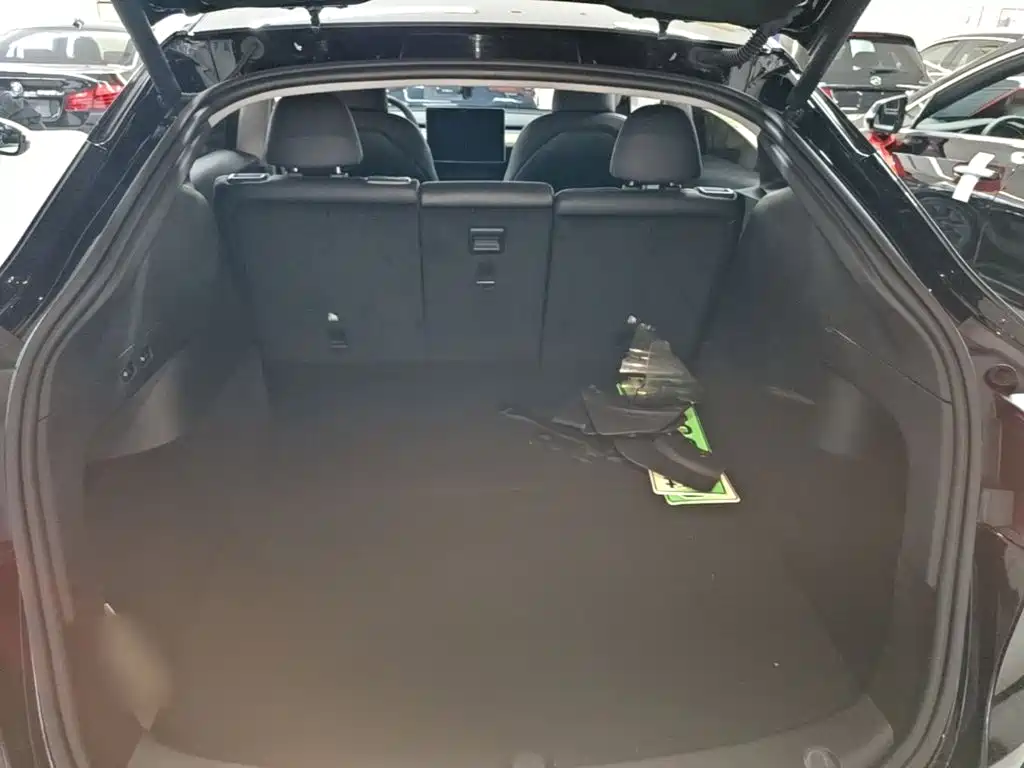 Tesla Model Y — миниатюра 19