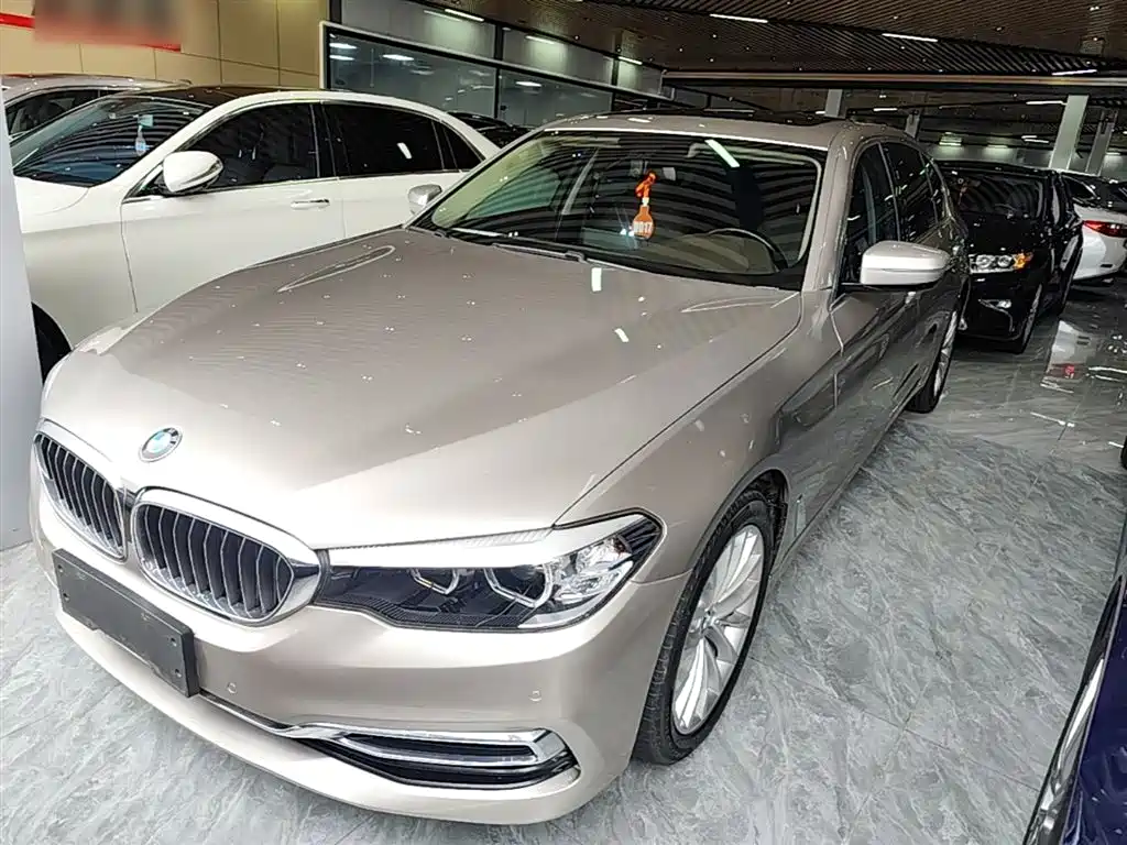 BMW 5 Series 5 2020 525Li Luxury
