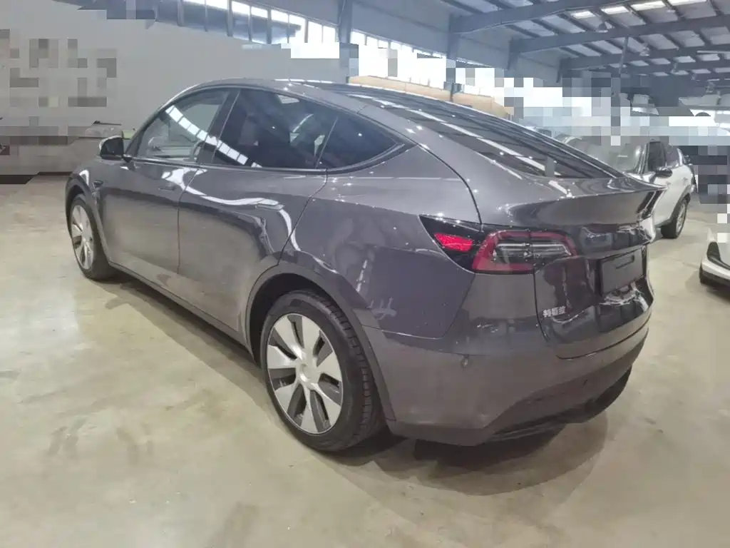 Tesla Model Y — миниатюра 5