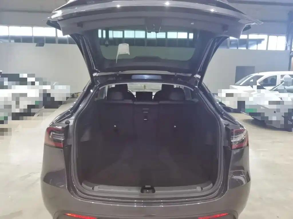 Tesla Model Y — миниатюра 19