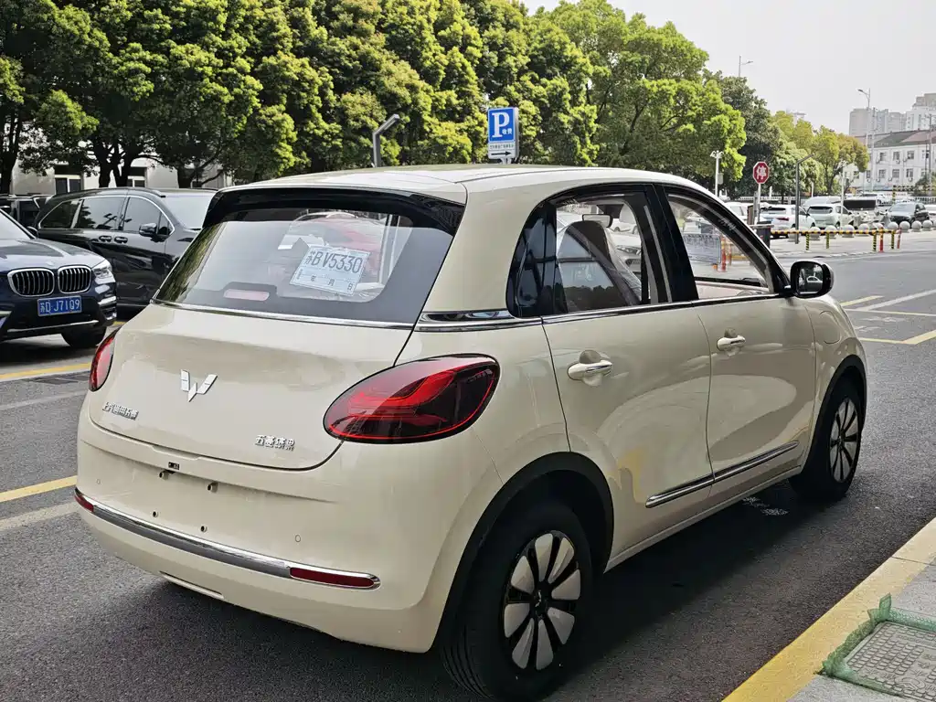 Wuling Binguo 2025 333km