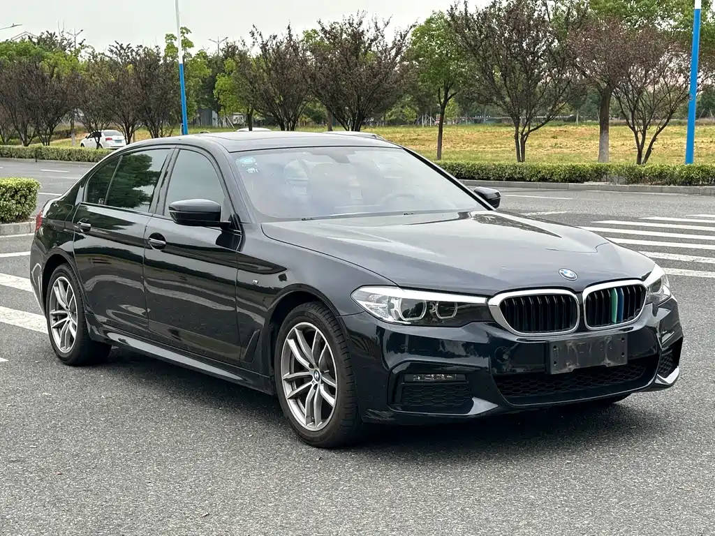 BMW 5 Series — миниатюра 3