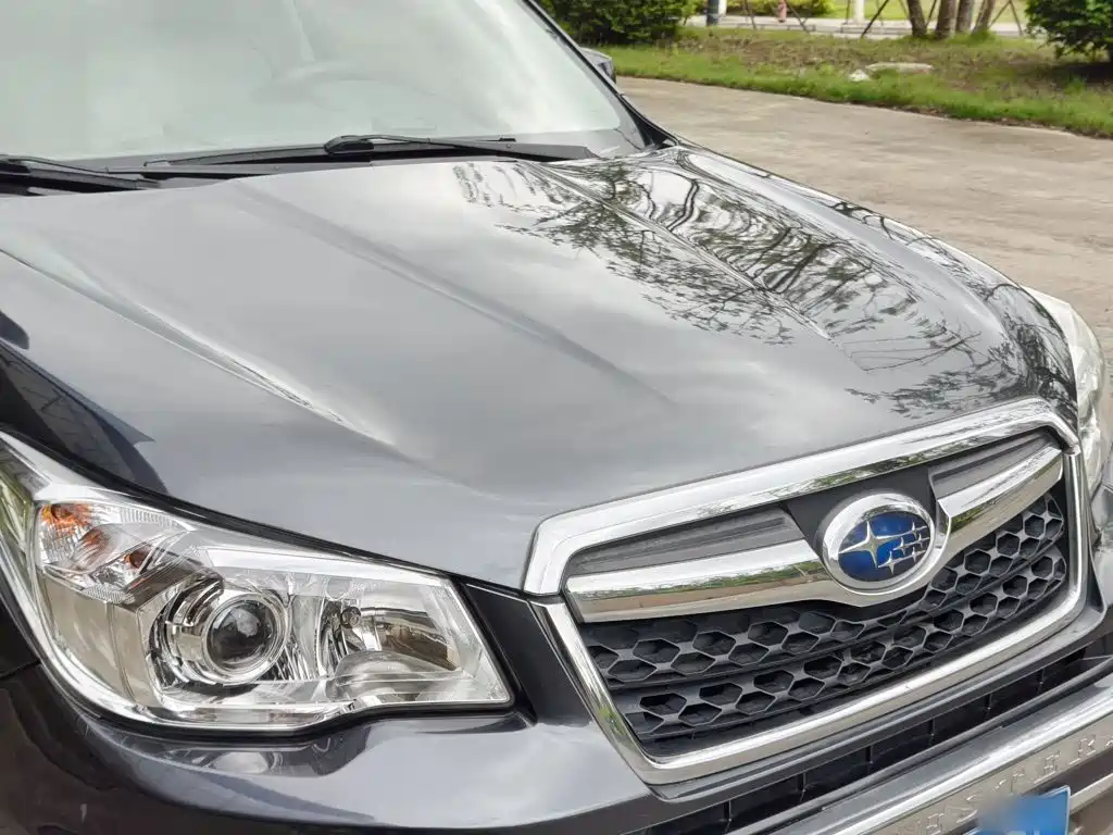 Subaru Forester — миниатюра 14