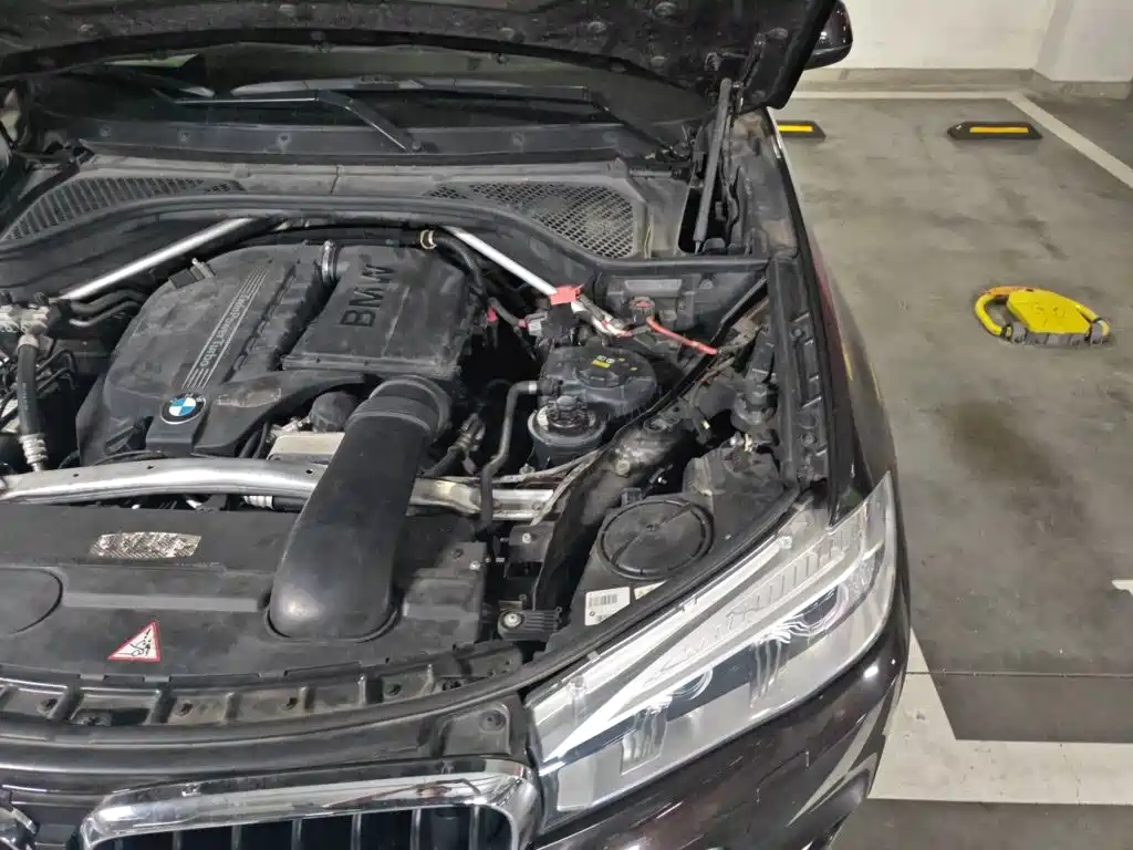 BMW X5 (Import) — миниатюра 20