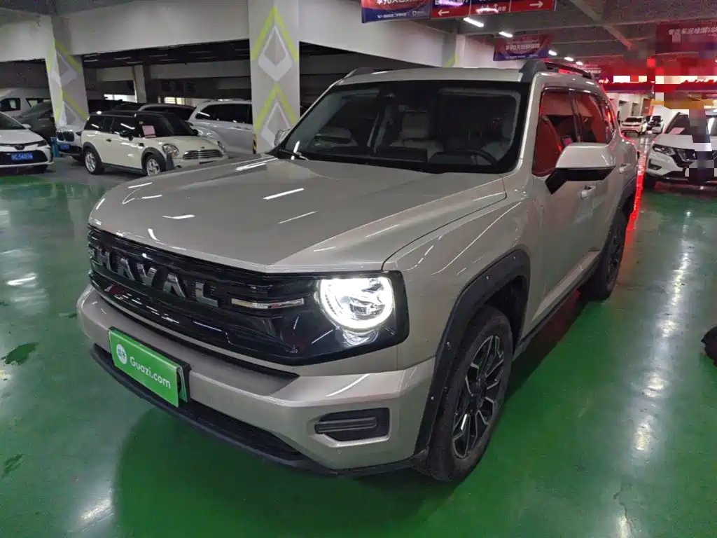 Haval Big Dog PLUS New Energy — миниатюра 2