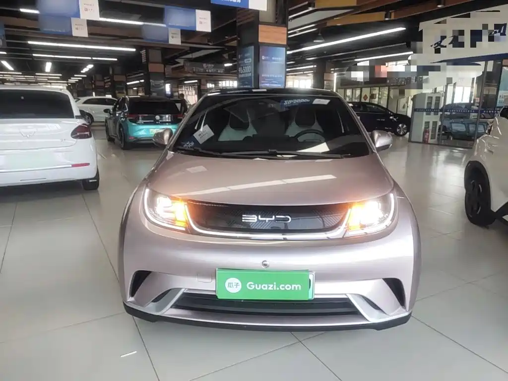 BYD Dolphin — миниатюра 3
