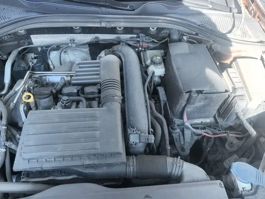 Volkswagen Lamando — миниатюра 11