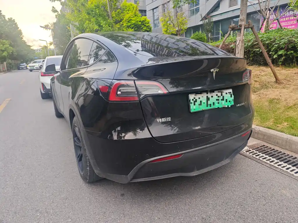 Tesla Model Y — миниатюра 6