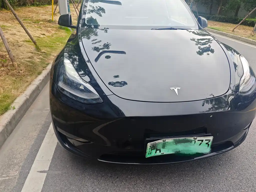 Tesla Model Y — миниатюра 2