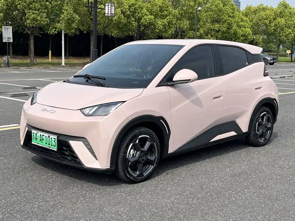 Byd Seagull 2024