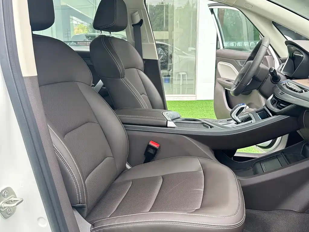 RUILAN AUTOMOBILE MAPLE LEAF 80V