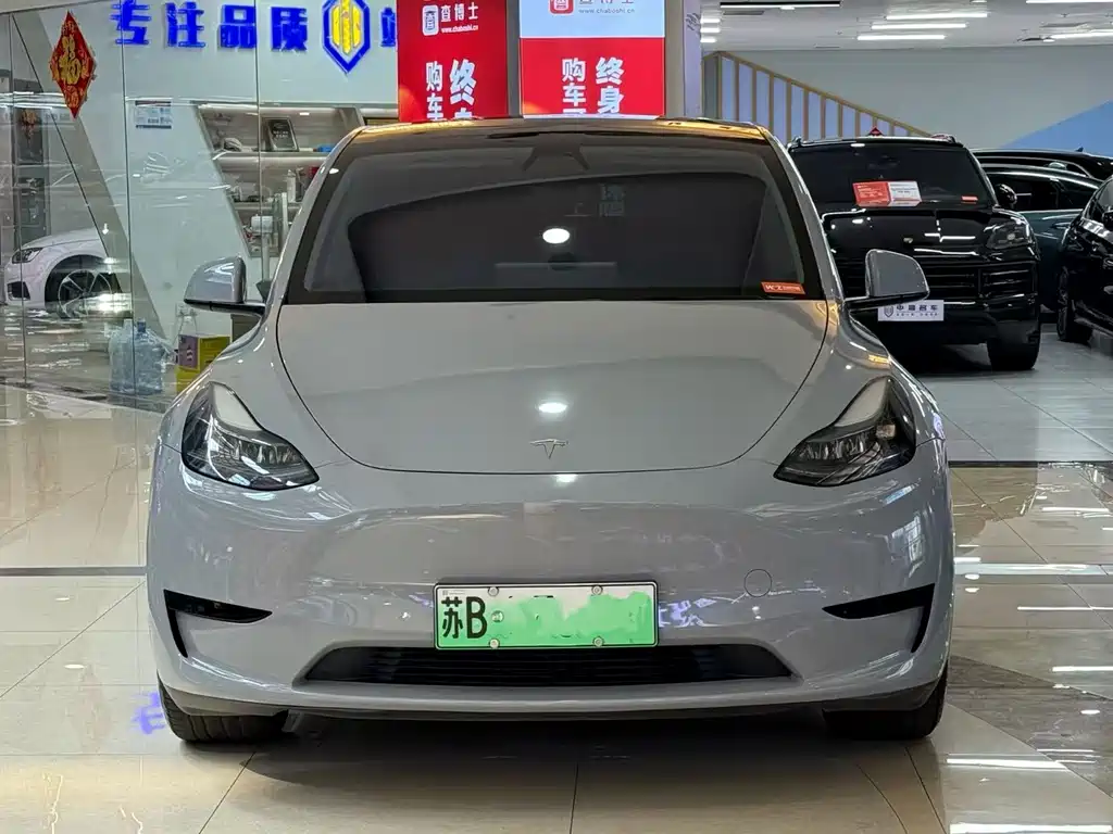 Tesla Model Y — миниатюра 3