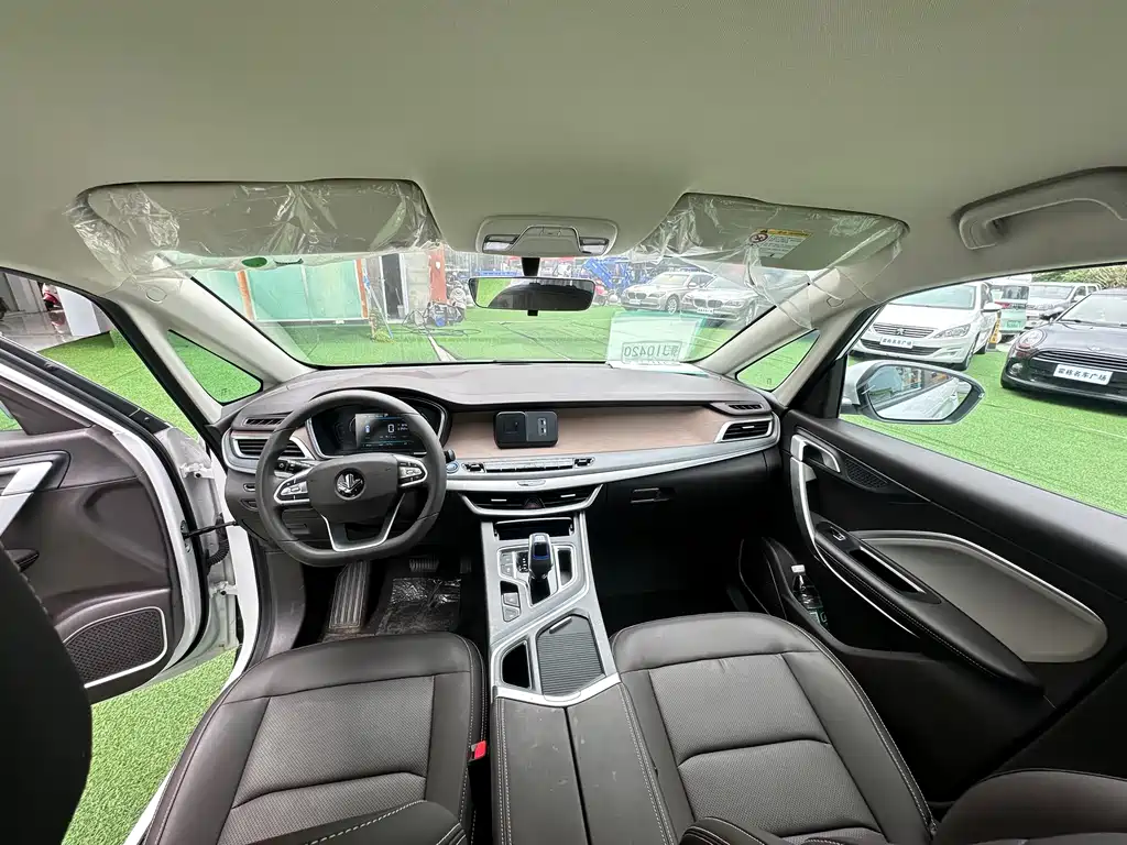 RUILAN AUTOMOBILE MAPLE LEAF 80V