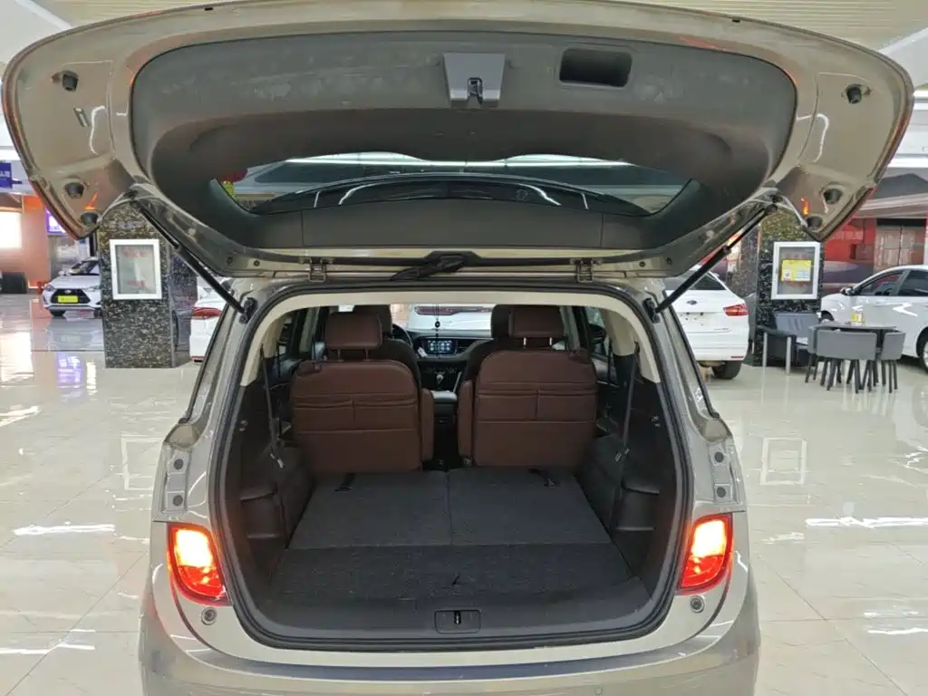 Buick GL6 — миниатюра 19