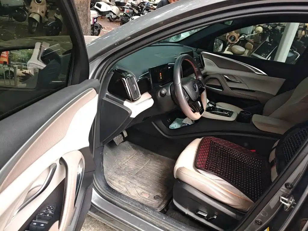 BYD Pro New Energy — миниатюра 14