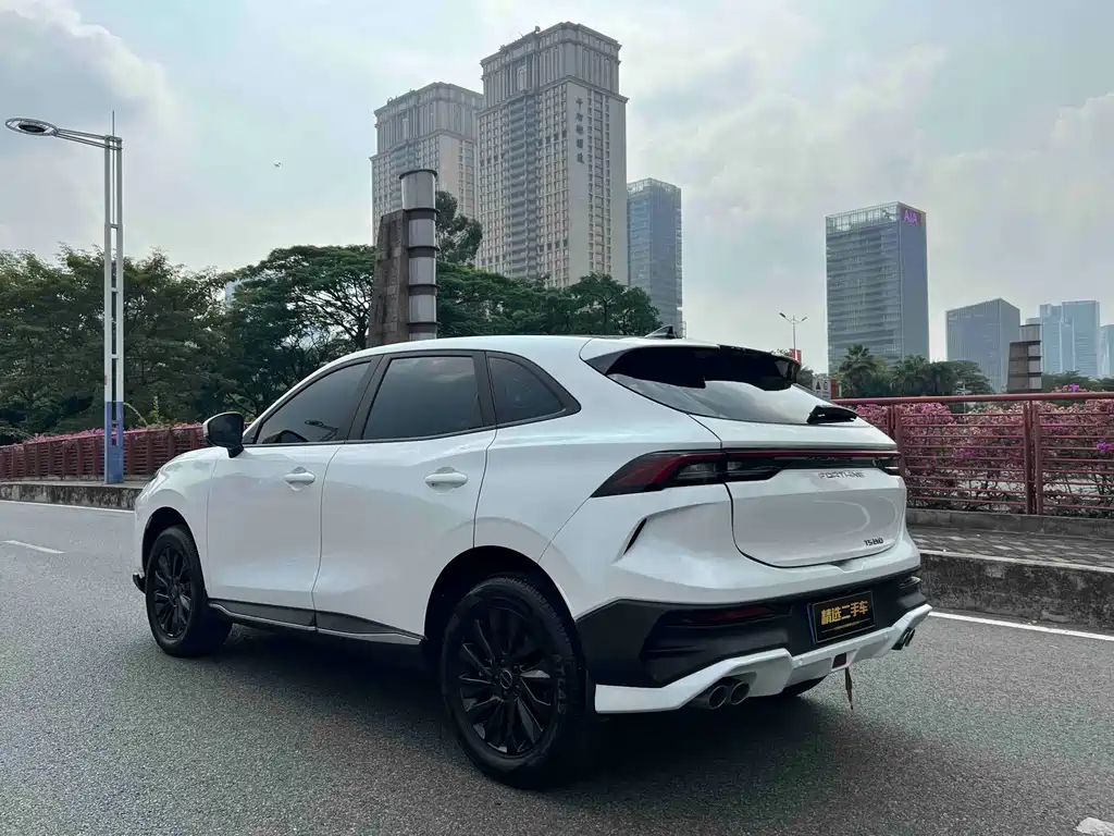 Fengxing Fengxing T5 EVO — миниатюра 7