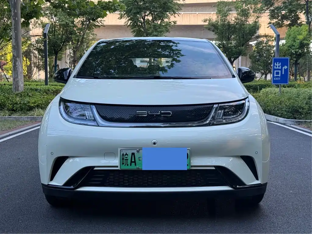 BYD Dolphin — миниатюра 2