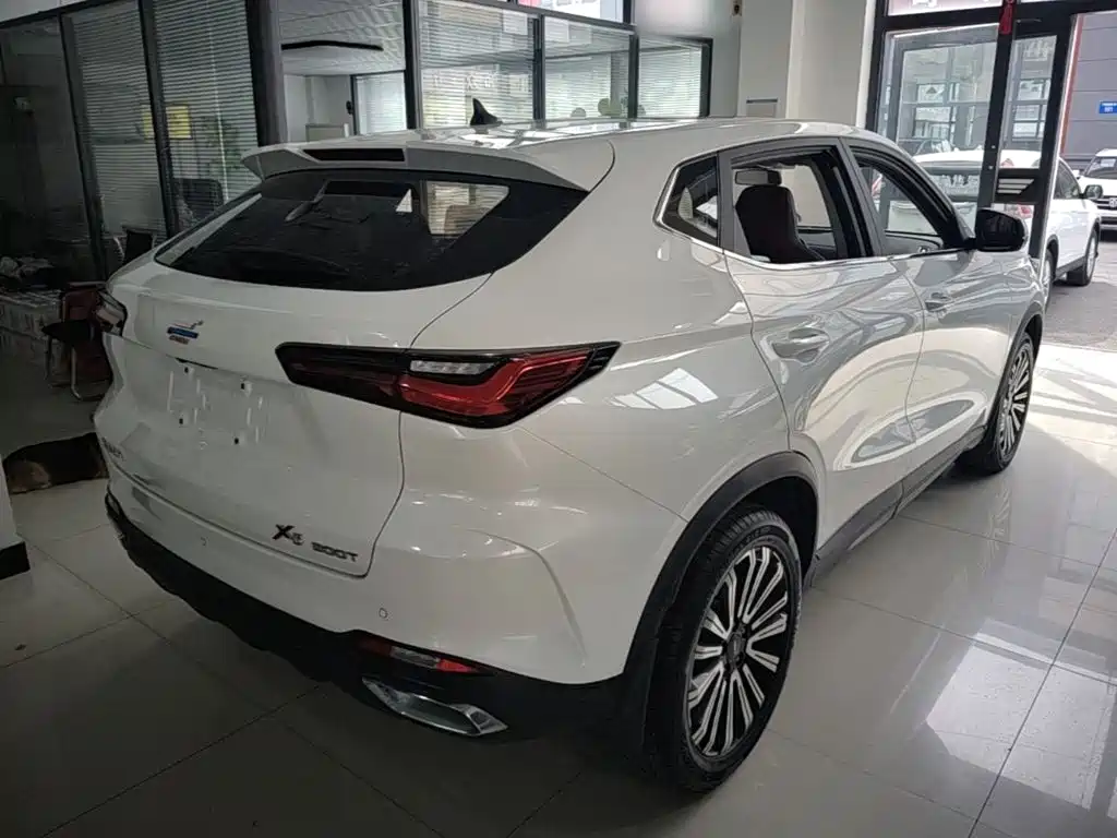 Oshan Oushang X5 — миниатюра 7