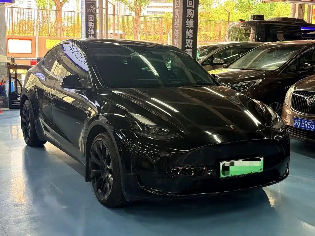 Tesla Model Y — миниатюра 2