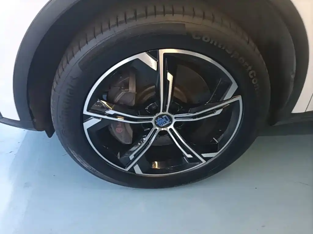 BYD Tang New Energy — миниатюра 23