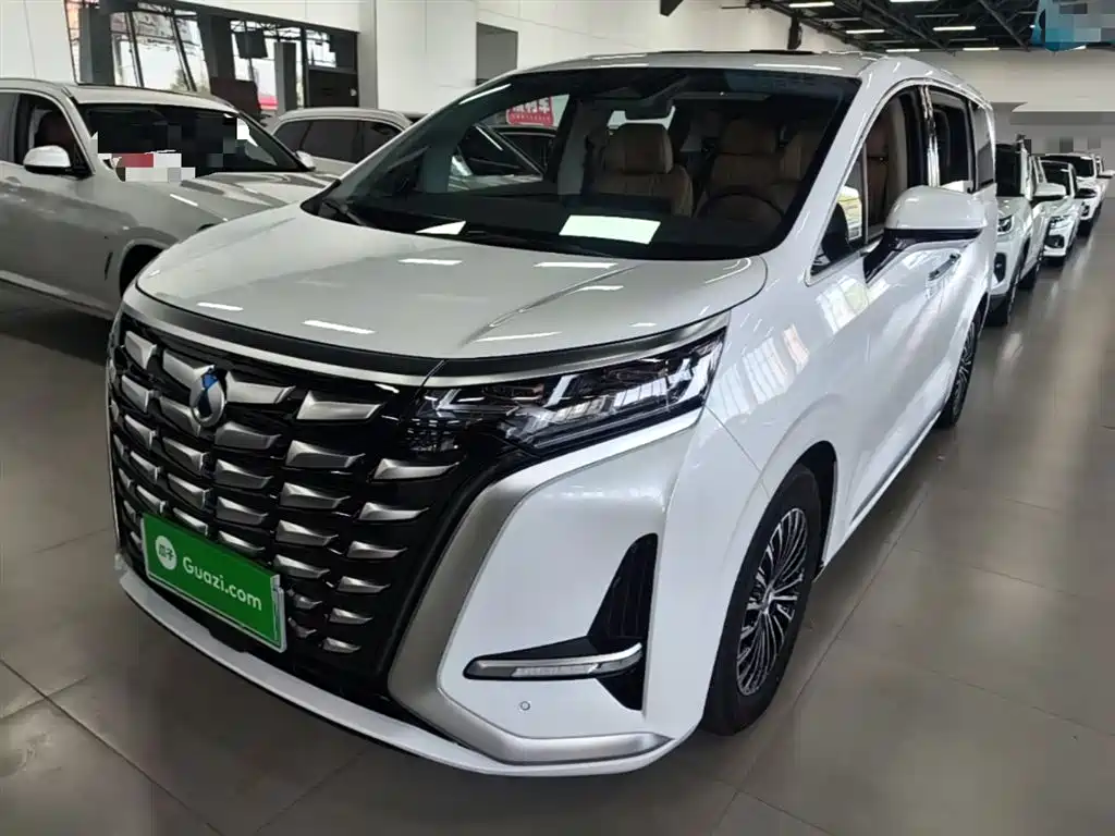 Denza Denza D9 2024