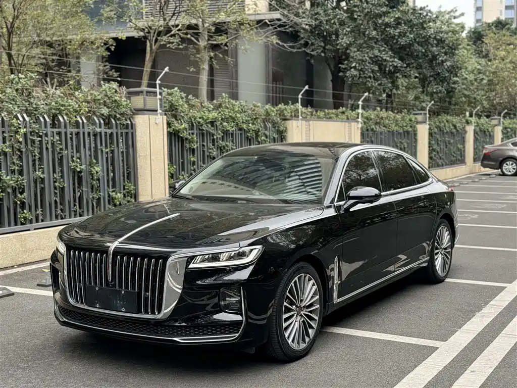 Hongqi Hongqi H9 2020