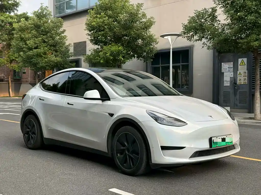 Tesla Model Y — миниатюра 3