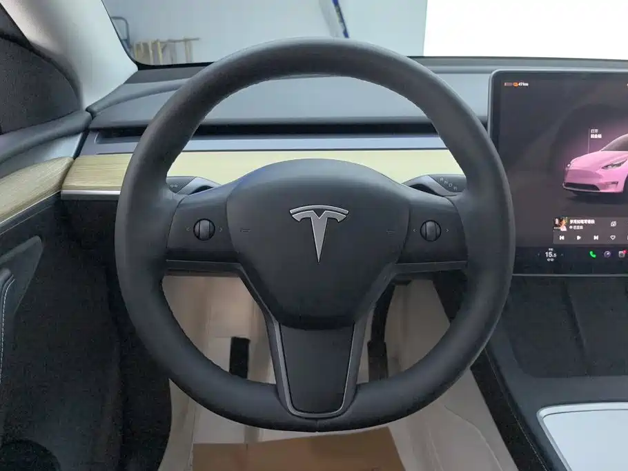 Tesla Model Y — миниатюра 15