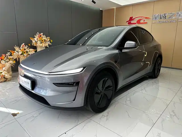 2025 Tesla Model Y