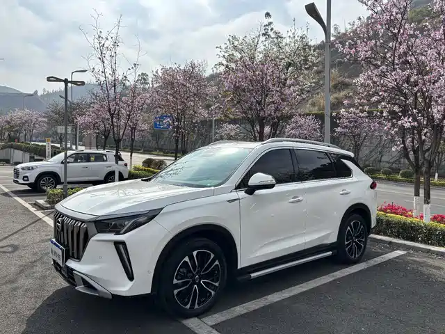 GAC TRUMPCHI GS4 PLUS 2024