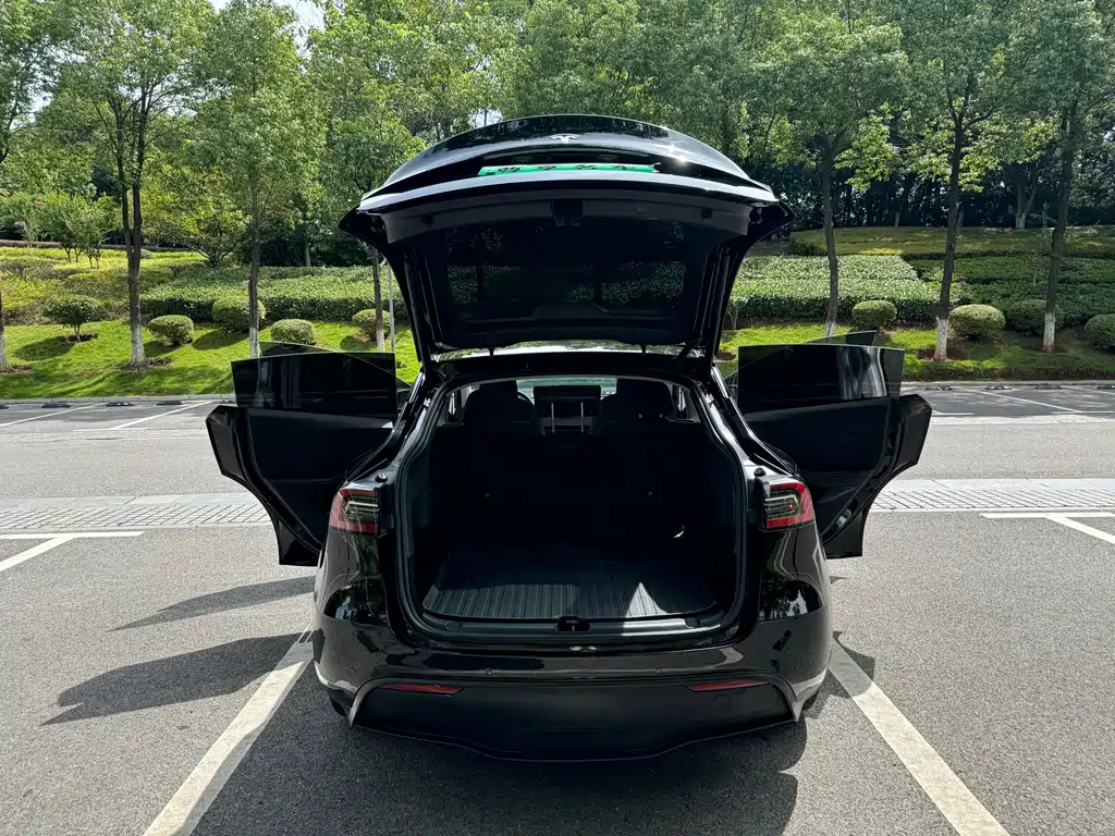 Tesla Model Y — миниатюра 14