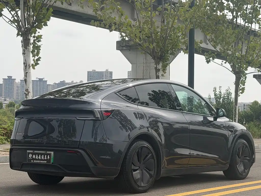 Tesla Model Y — миниатюра 7