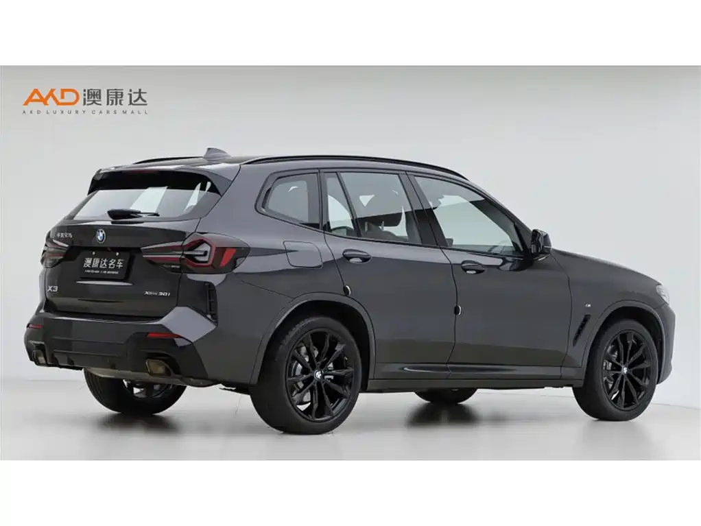 BMW X3 — миниатюра 3