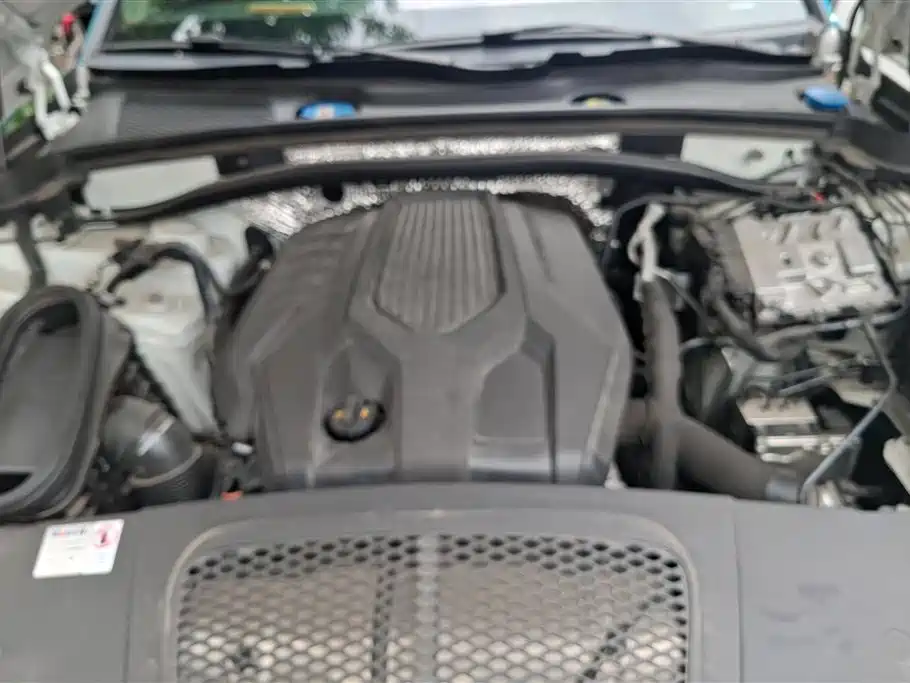 Porsche Macan 2024 Macan 2.0T