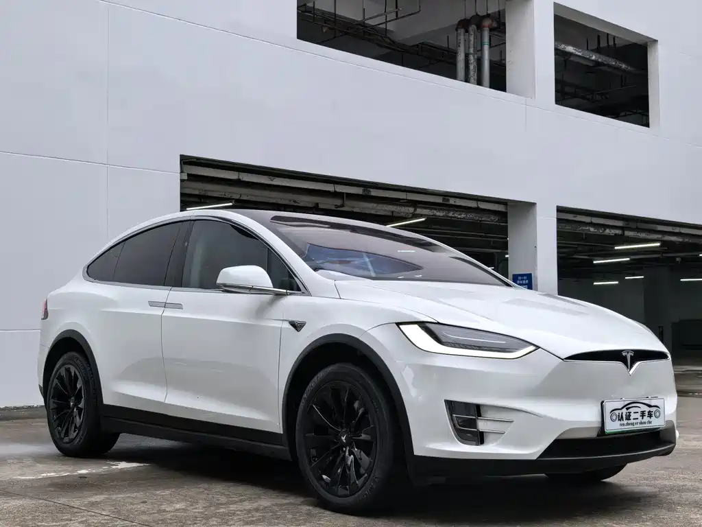 Tesla Model X 2017 Model X 100D