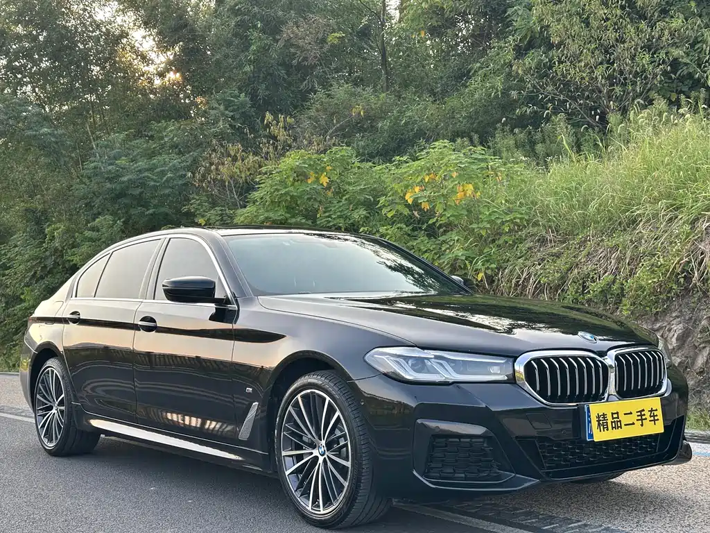 BMW 5 Series — миниатюра 3