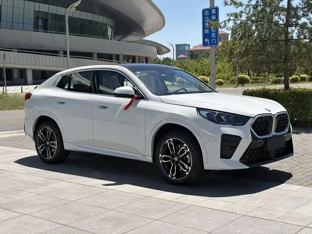 BMW X2 (Import) — миниатюра 2