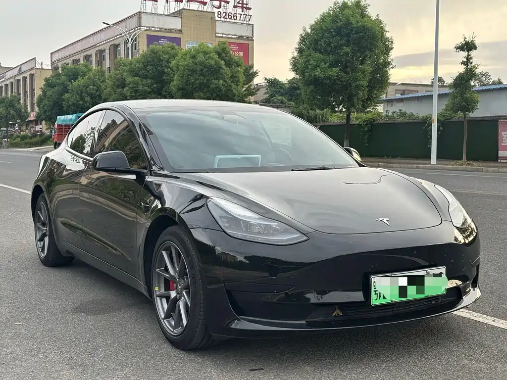 Tesla Model 3 — миниатюра 3